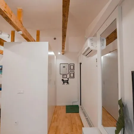 Apartment Alpetri Kaunas
