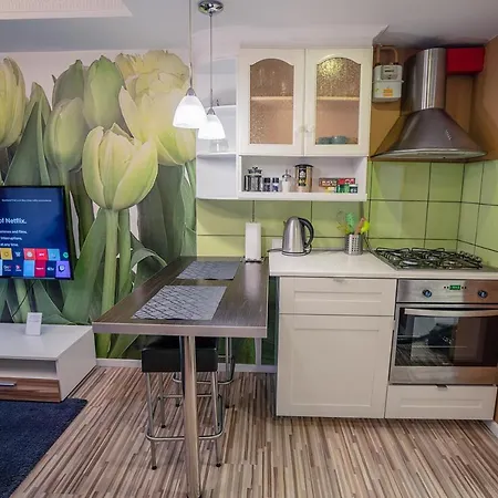 Appartement Alpetri Kaunas