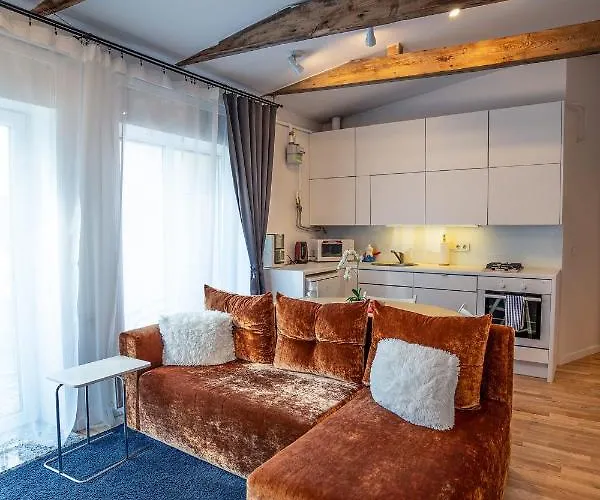 Alpetri Apartmán Kaunas