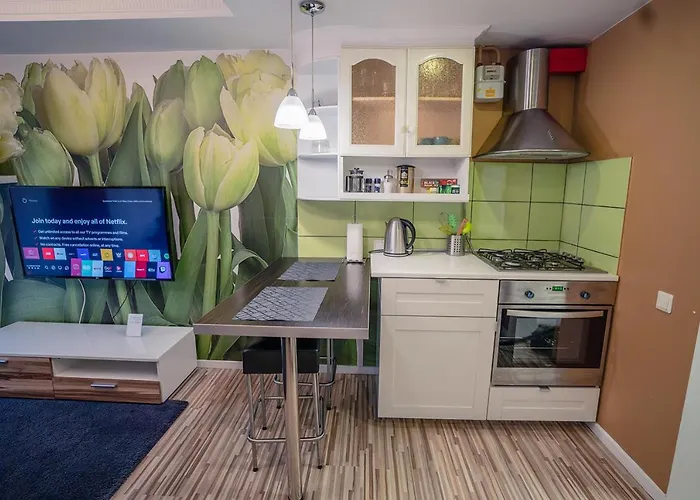 Apartmán Alpetri Kaunas